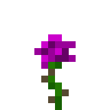 Purple Rose in Minecraft