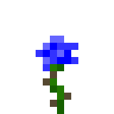 Dark Bleu Rose в Майнкрафте