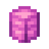Pink Present in Minecraft