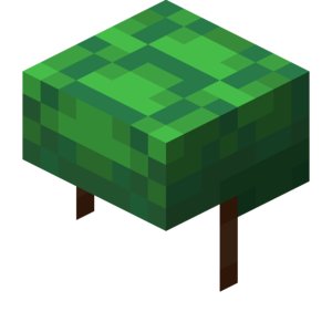 Turtle Shell in Minecraft