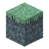 Aether Grass in Minecraft