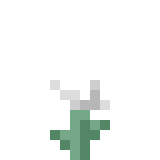 White Flower | How to craft white flower in Minecraft | Minecraft Wiki