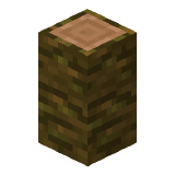 Jungle Post in Minecraft