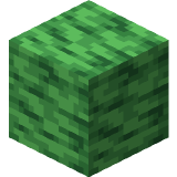 Green Paper Block в Майнкрафте