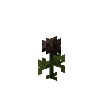 Wither Rose in Minecraft