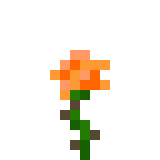 Orange Rose in Minecraft