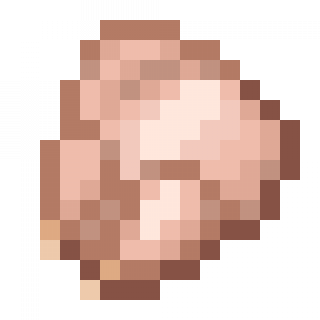 Raw Chicken in Minecraft