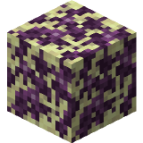 Rooted End Stone in Minecraft