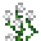 White Rose Bush in Minecraft