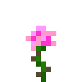 Pink Rose in Minecraft