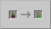 How to craft red tulip in Minecraft