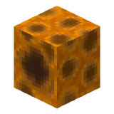 Empty Honeycomb Brood Block in Minecraft