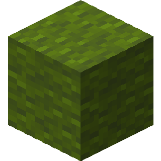 Green Wool in Minecraft
