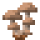 Колония коричневых грибов в Майнкрафте
