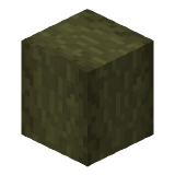 Stripped Beech Block in Minecraft