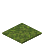 Moss Carpet in Minecraft