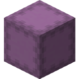 Shulker Shell Block in Minecraft