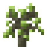 Skyroot Sapling Mainkraftā