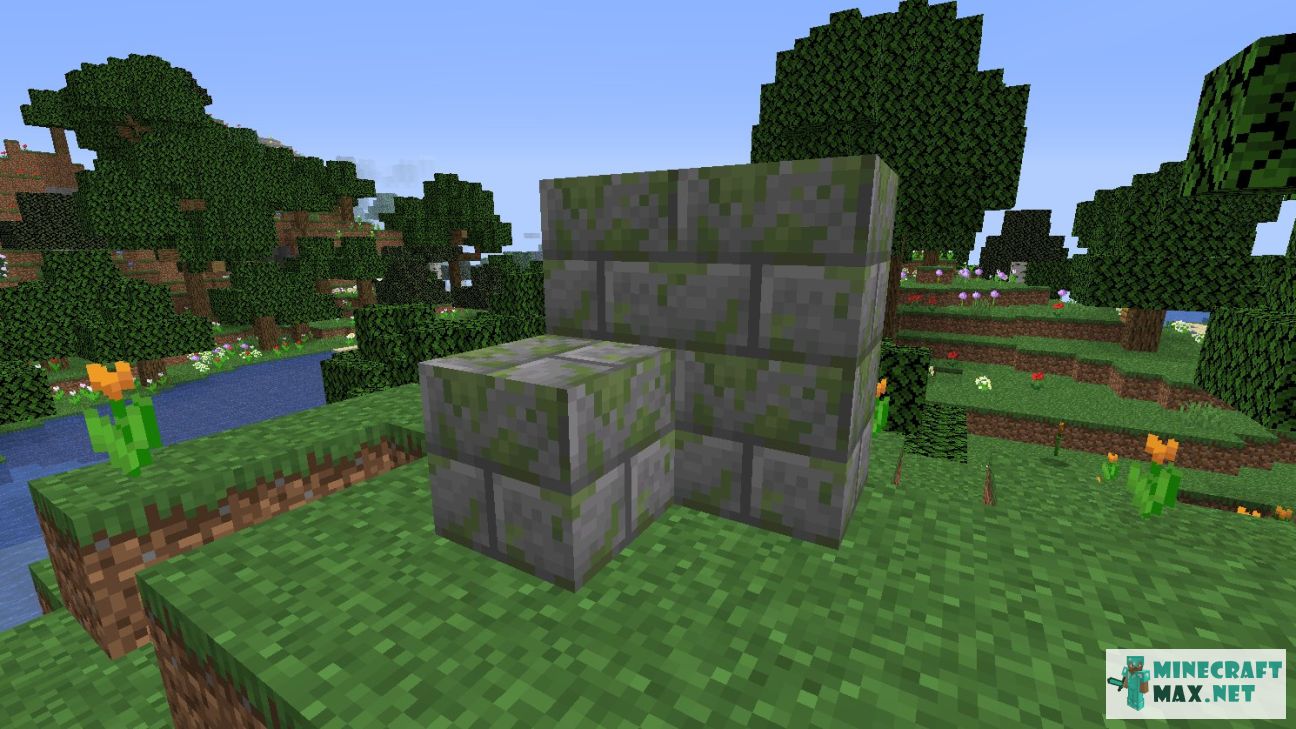 Black gem in Minecraft | Screenshot 2967