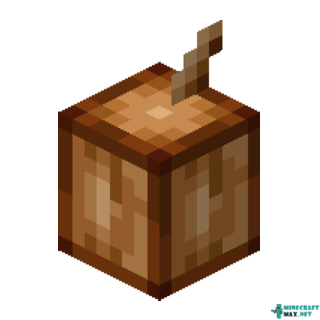 Cocoa in Minecraft