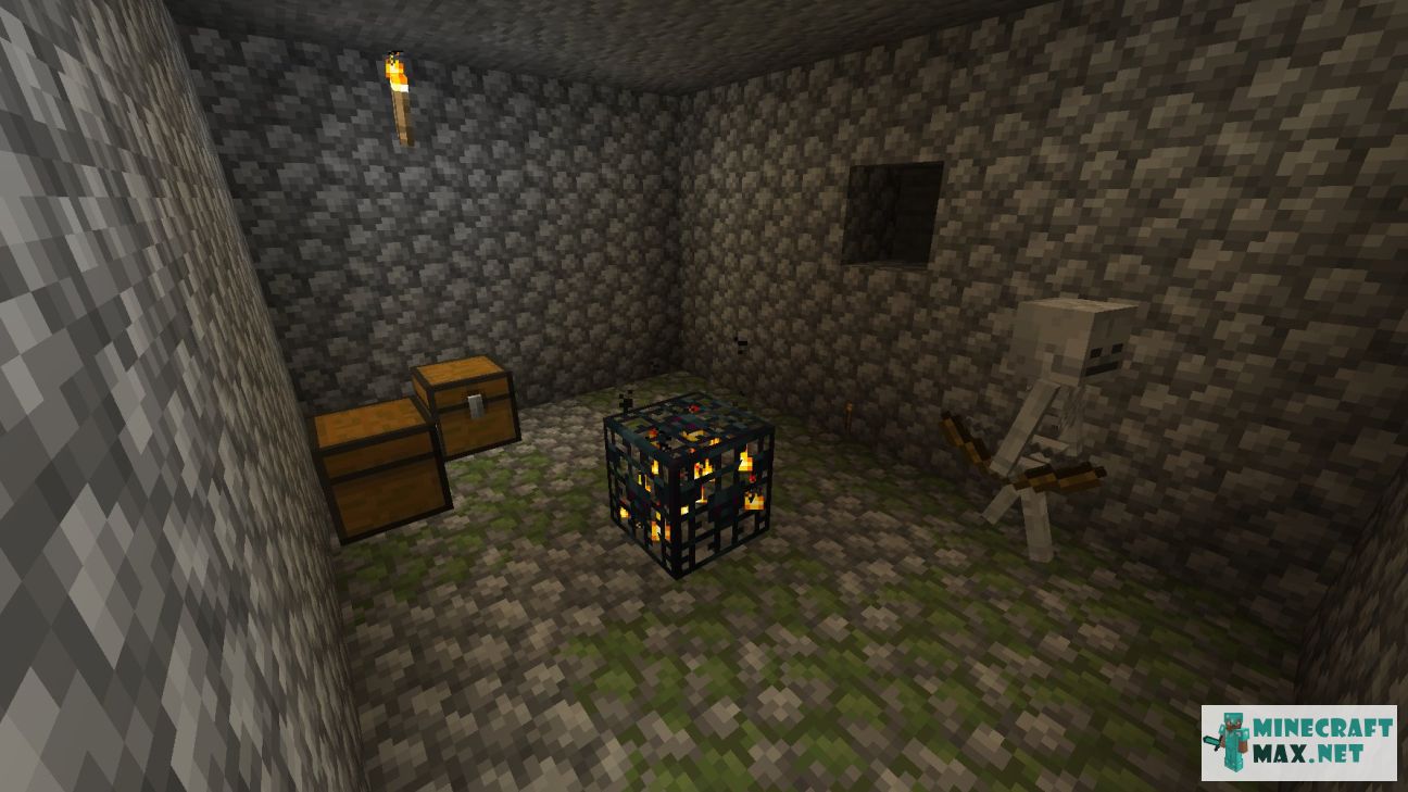 Black gem in Minecraft | Screenshot 1334