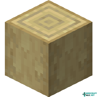 Stripped Birch Log in Minecraft