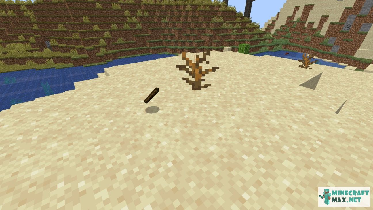Black gem in Minecraft | Screenshot 486