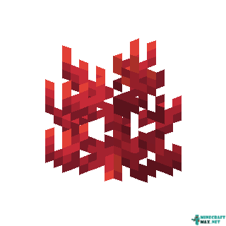Fire Coral in Minecraft