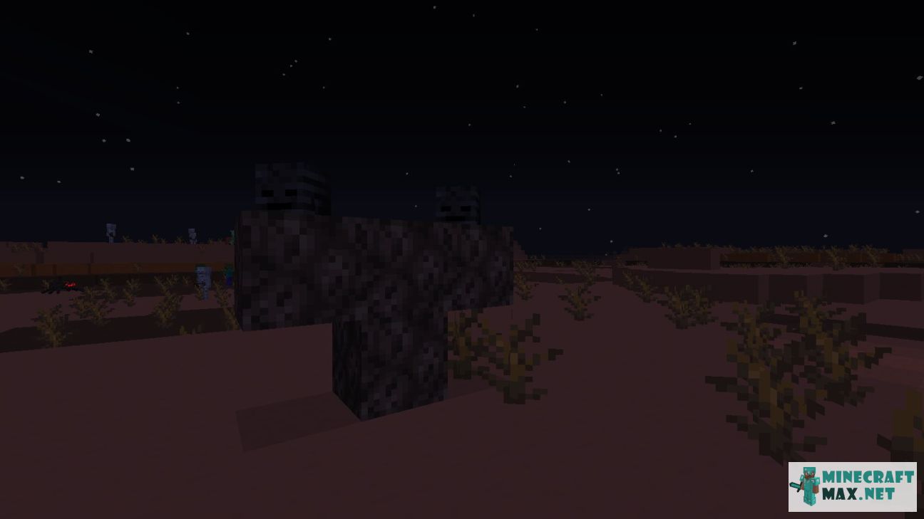 Wither in Minecraft | Screenshot 4