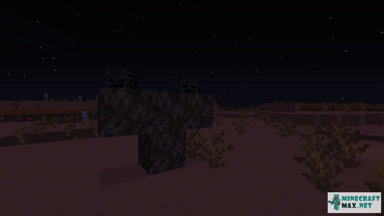 Black gem in Minecraft | Screenshot 981