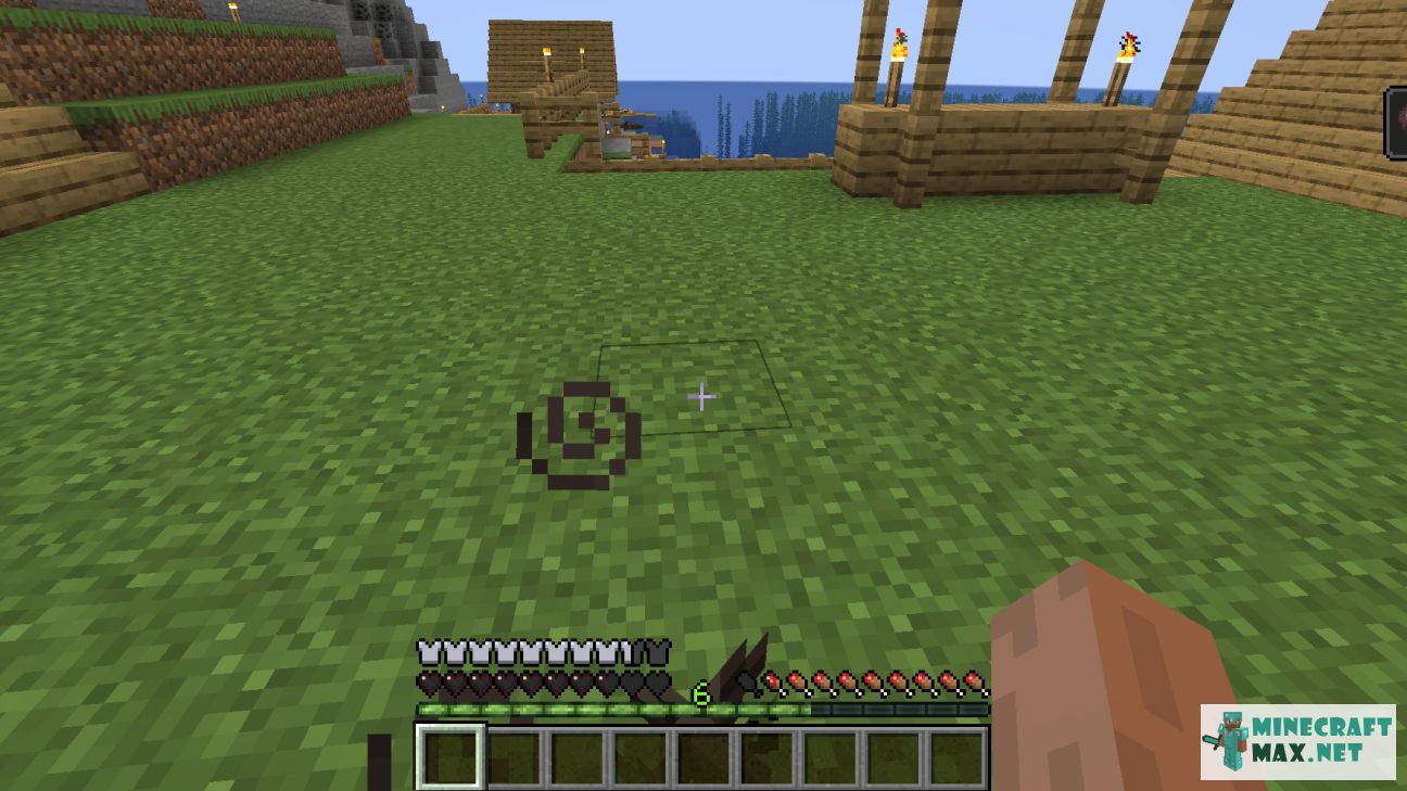 Black gem in Minecraft | Screenshot 3768