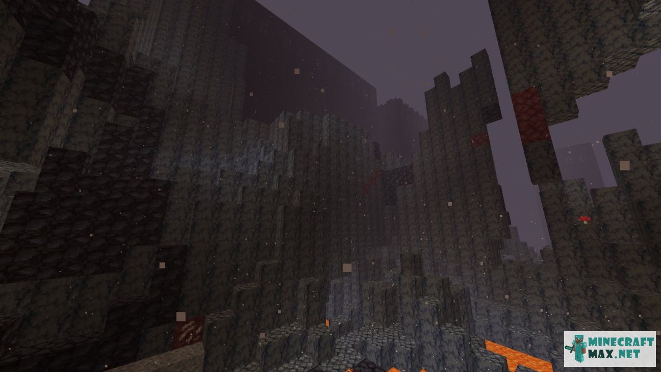 Black gem in Minecraft | Screenshot 2928