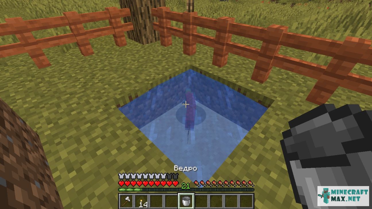 Bucket of Salmon in Minecraft | Screenshot 2