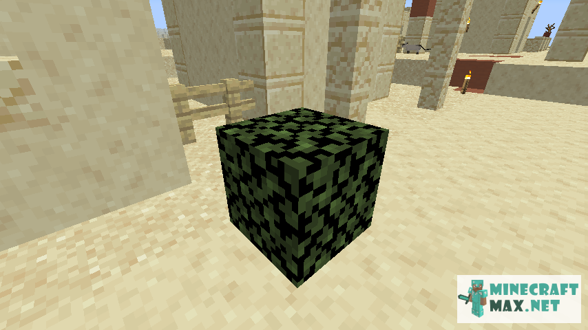 Black gem in Minecraft | Screenshot 471