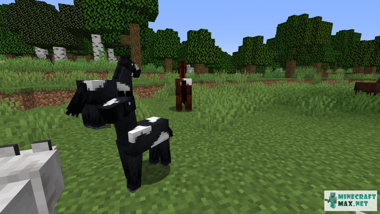 Black gem in Minecraft | Screenshot 1243
