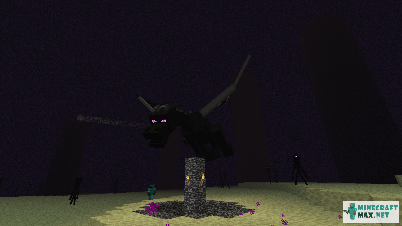 Black gem in Minecraft | Screenshot 869