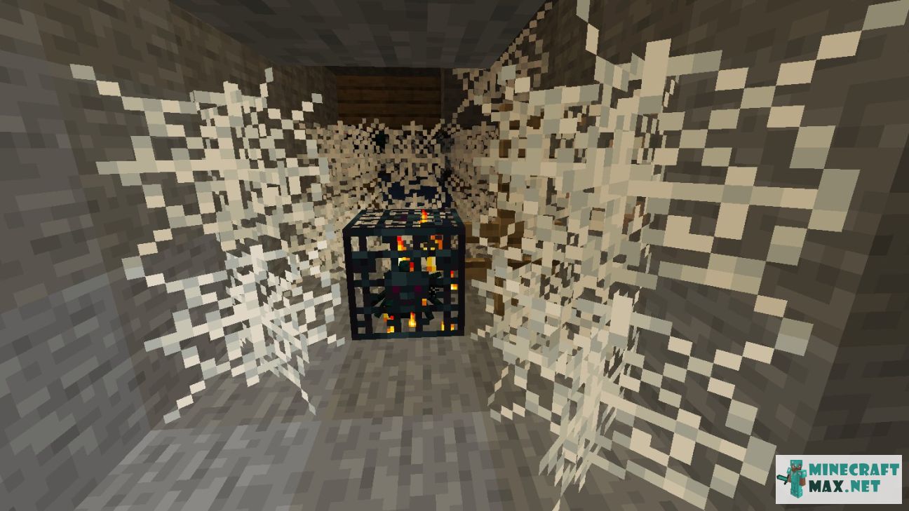 Black gem in Minecraft | Screenshot 890