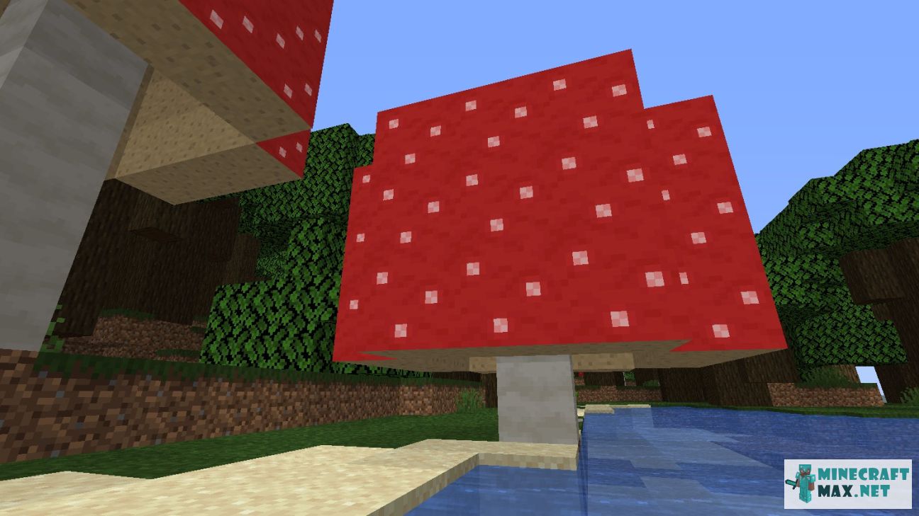 Modem in Minecraft | Screenshot 954