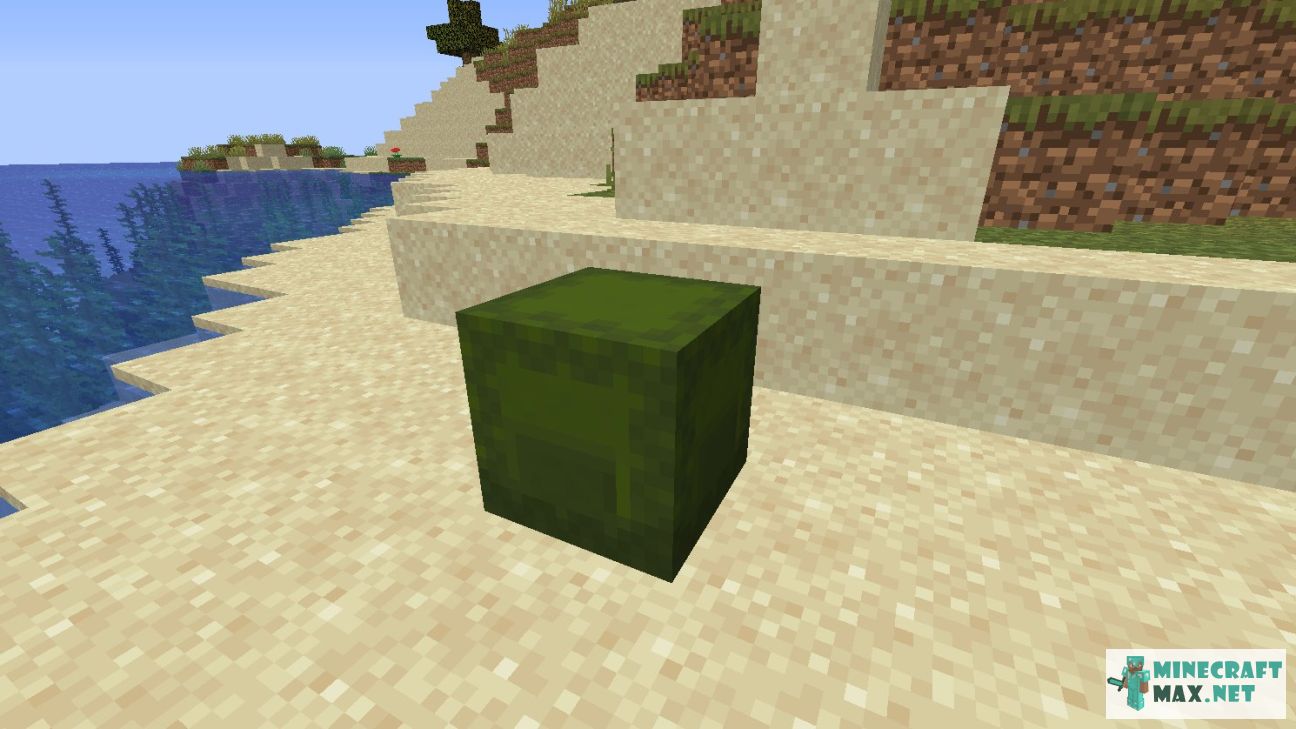 Green Shulker Box in Minecraft | Screenshot 2
