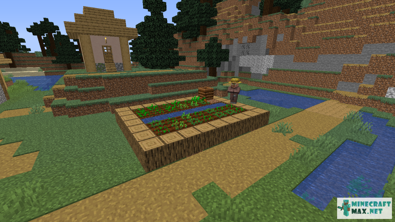 Dirt Path in Minecraft | Screenshot 1