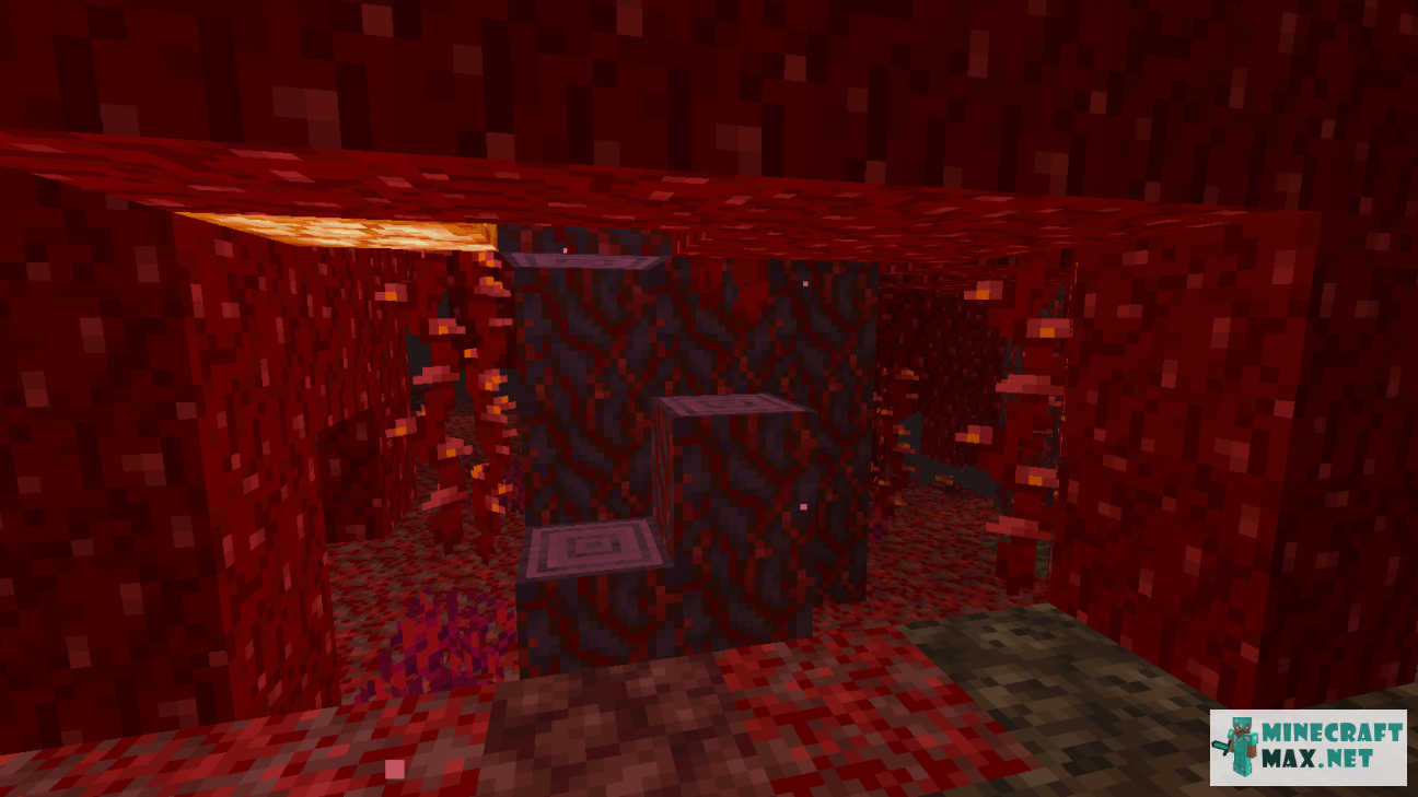 Black gem in Minecraft | Screenshot 1966