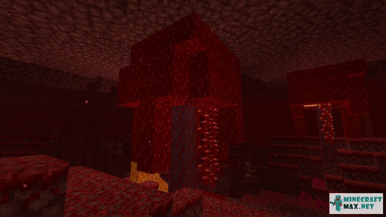 Black gem in Minecraft | Screenshot 2999