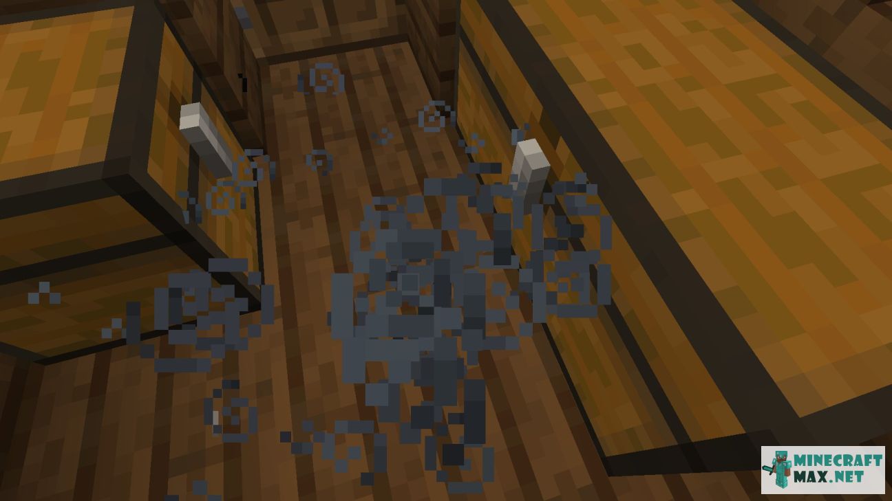 Black gem in Minecraft | Screenshot 2510