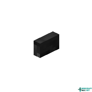 Black Button in Minecraft