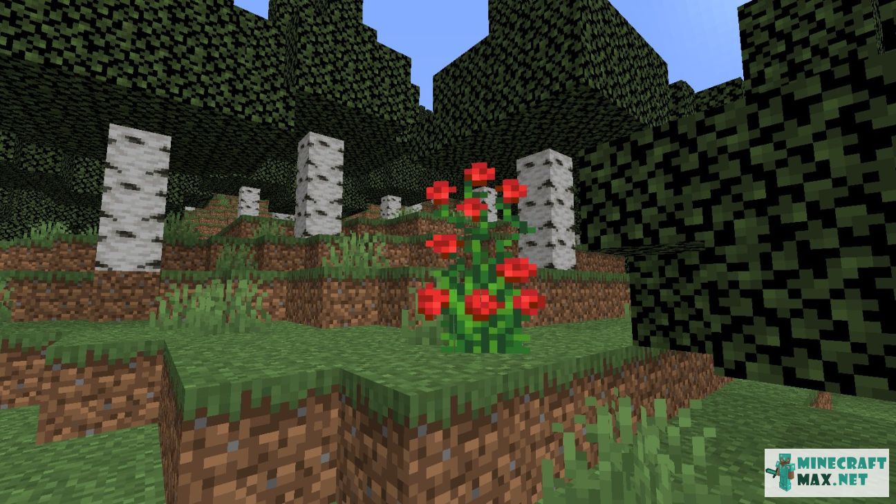 Modem in Minecraft | Screenshot 287