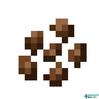 Cocoa Beans in Minecraft