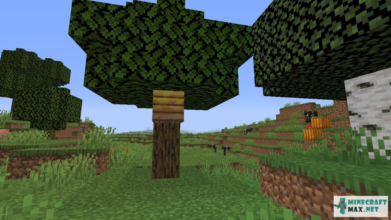 Modem in Minecraft | Screenshot 2533