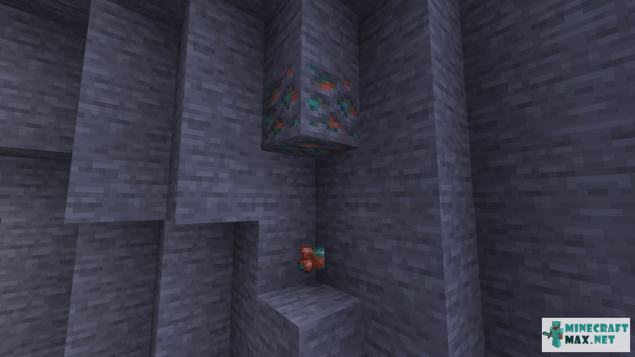 Black gem in Minecraft | Screenshot 3456