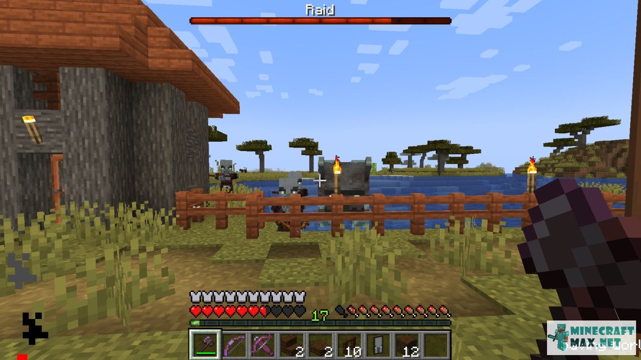 Black gem in Minecraft | Screenshot 3257