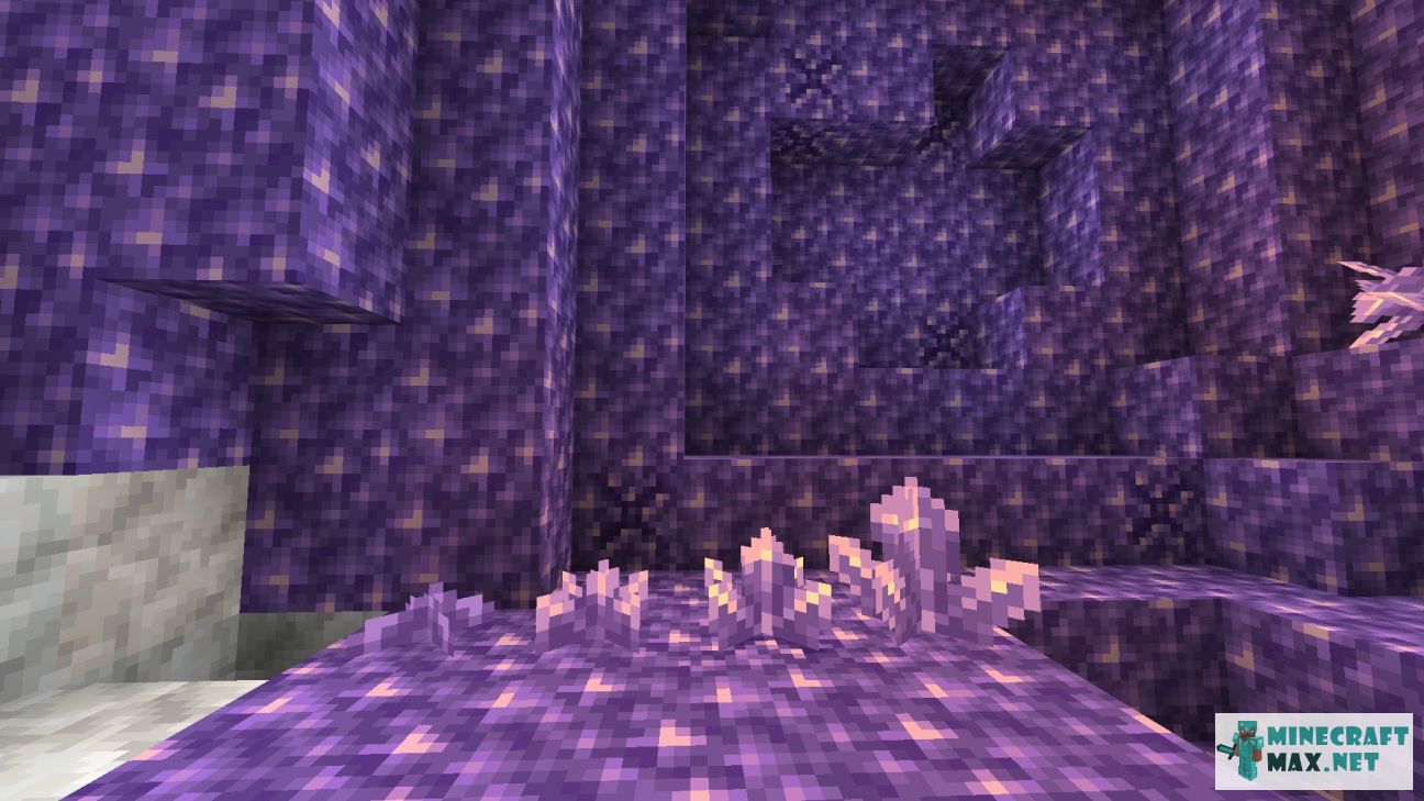 Black gem in Minecraft | Screenshot 3326